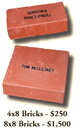 4x8 Bricks $250, 8x8 Bricks $1,500